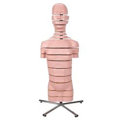 Torso Modell mit 15 Schnittebenen - 3B Smart Anatomy / Bild 2