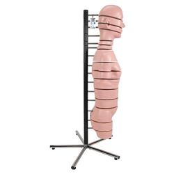 Torso Modell mit 15 Schnittebenen - 3B Smart Anatomy / Bild 4