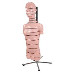 Torso Modell mit 15 Schnittebenen - 3B Smart Anatomy / Bild 5