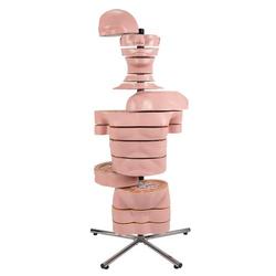 Torso Modell mit 15 Schnittebenen - 3B Smart Anatomy / Bild 6