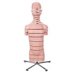 Torso Modell mit 15 Schnittebenen - 3B Smart Anatomy / Bild 2