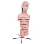 Torso Modell mit 15 Schnittebenen - 3B Smart Anatomy / Bild 3
