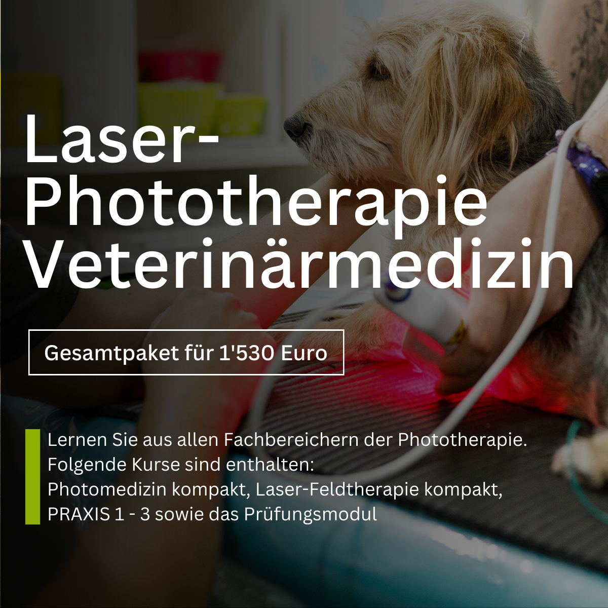 GesamtkursVeterinärmedizin–Produktseite.png