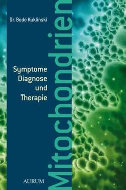 Mitochondrien: Symptome, Diagnose und Therapie