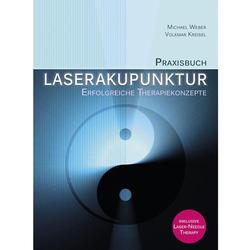 Praxisbuch Laserakupunktur V. Kreisel M. Weber / Bild 1