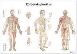 Körperakupunktur Poster,  Papier / Bild 1