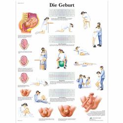 Lehrtafel - Die Geburt