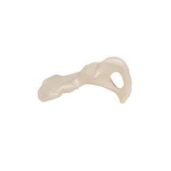 Hüftbein Knochen Modell - 3B Smart Anatomy / Bild 5