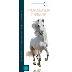 Flyer Lasertherapie Vet Pferd