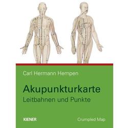 Akupunkturkarte - Leitbahnen und Punkte