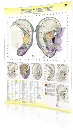 Aurikulotherapie  Karte