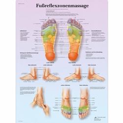 Lehrtafel - Fussreflexzonenmassage 