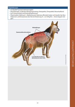 Lasertherapie in der Kleintierpraxis COLLL / Bild 5