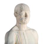 Akupunktur Figur männlich / Bild 2