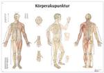 Lehrtafel - Körperakupunktur Laminiert / Bild 1