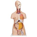 Torso Zweigeschlechtiger 20 teilig - 3B Smart Anatomy / Bild 1