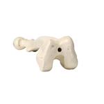 Femur  links, 3B Scientific® ORTHObones Premium  / Bild 3