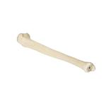 Schienbein (Tibia) links, ORTHObones Premium  / Bild 1