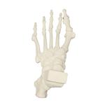 Fuss mit Hammerzehen, ORTHObones Premium  / Bild 1